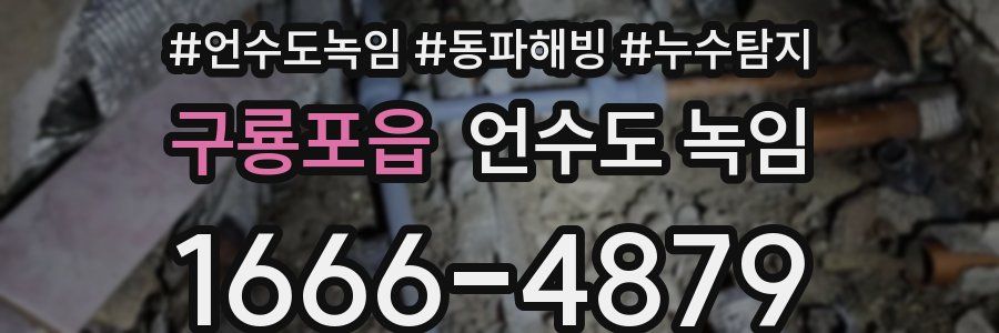 구룡포읍 언수도 녹임