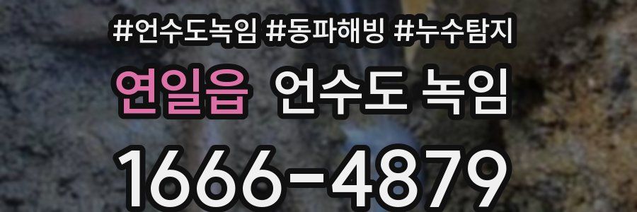 연일읍 언수도 녹임