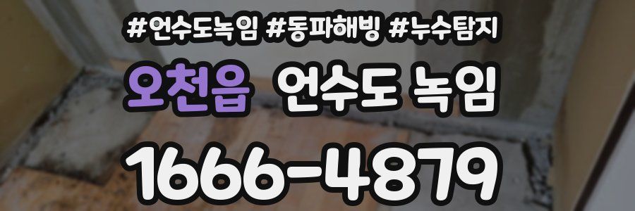 오천읍 언수도 녹임