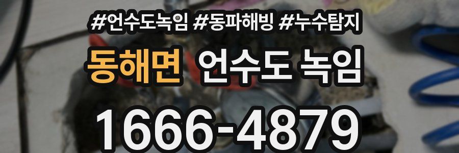 동해면 언수도 녹임