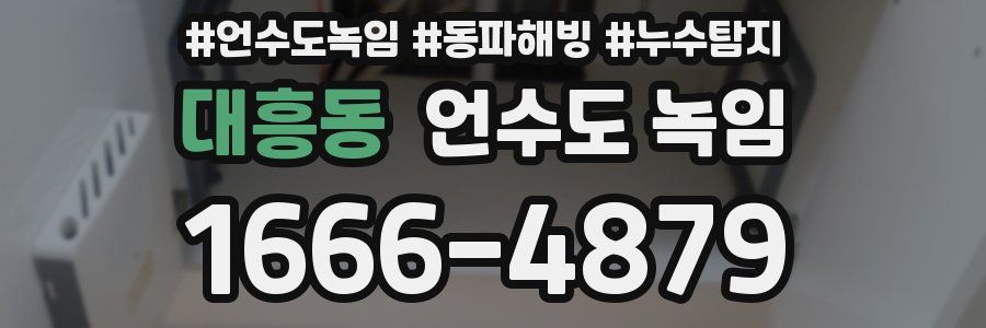 대흥동 언수도 녹임