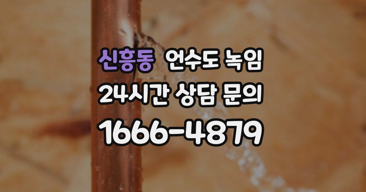 신흥동 언수도 녹임