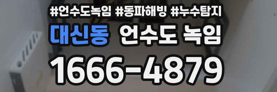 대신동 언수도 녹임