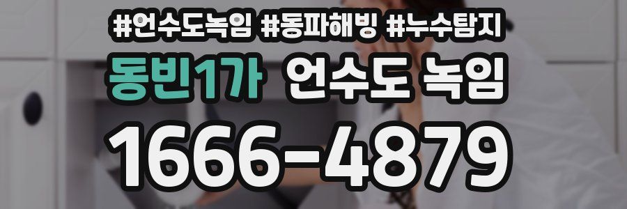 동빈1가 언수도 녹임