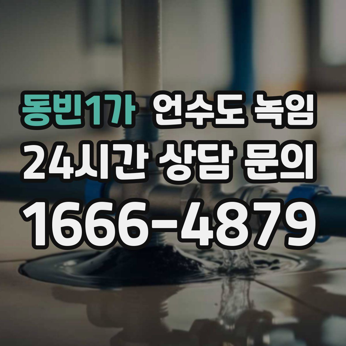 동빈1가 언수도 녹임