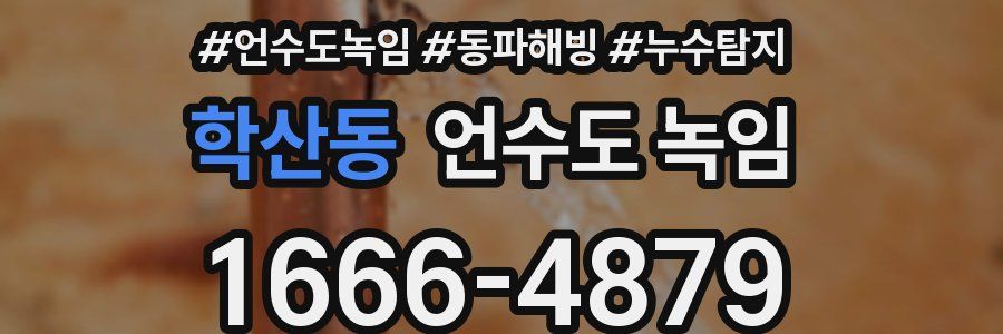 학산동 언수도 녹임