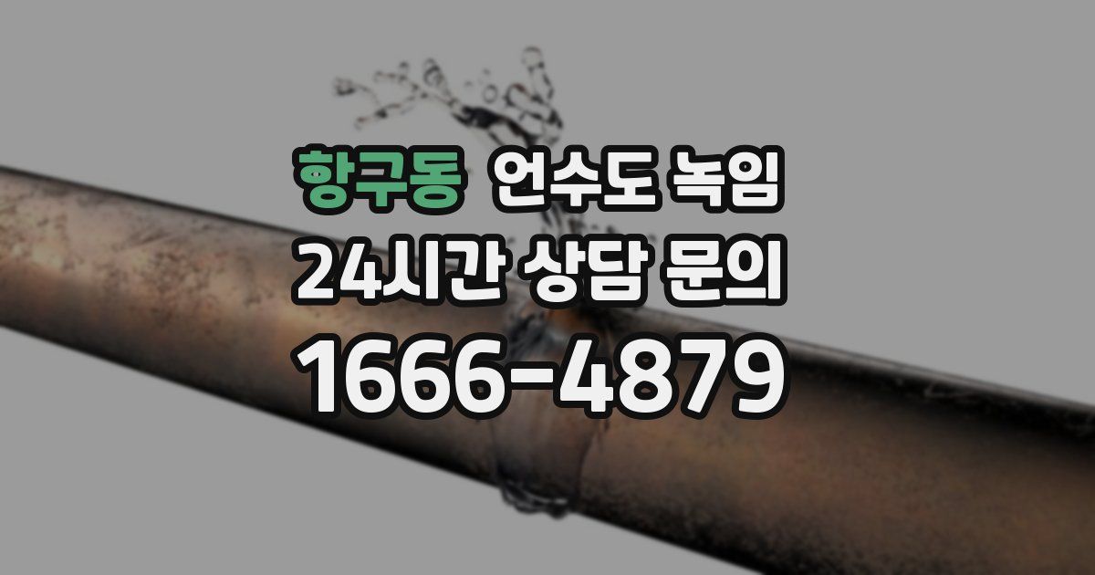 항구동 언수도 녹임