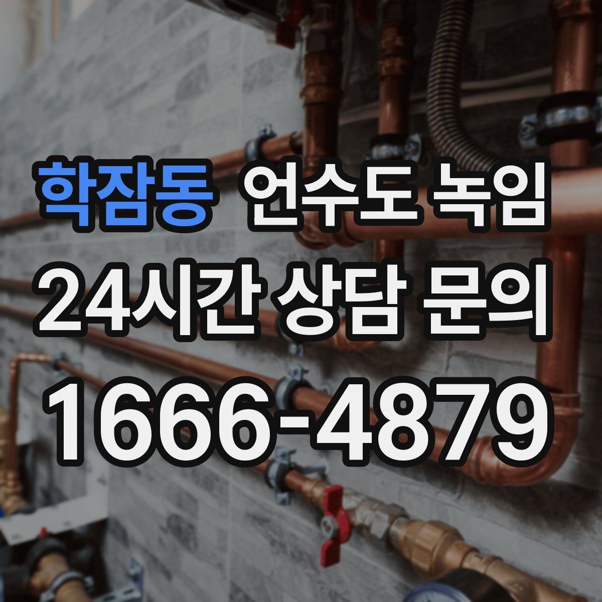 학잠동 언수도 녹임