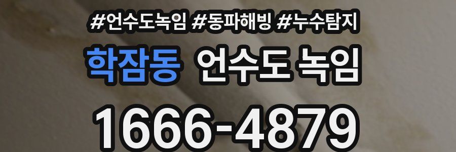 학잠동 언수도 녹임