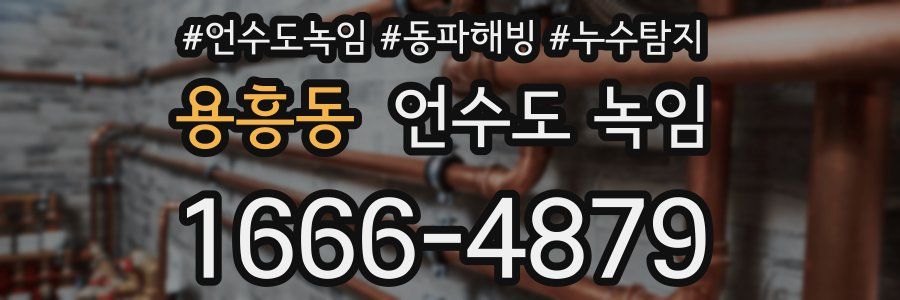 용흥동 언수도 녹임