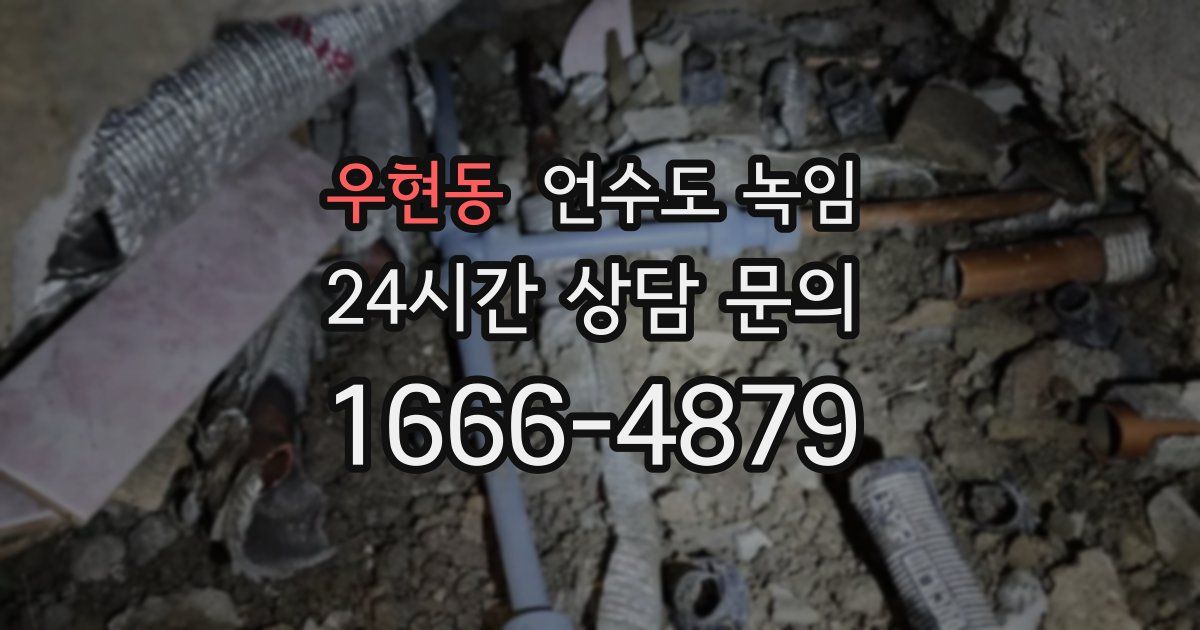 우현동 언수도 녹임