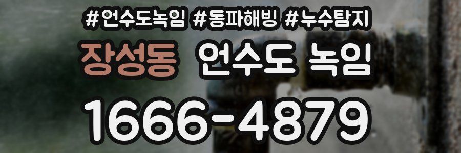 장성동 언수도 녹임