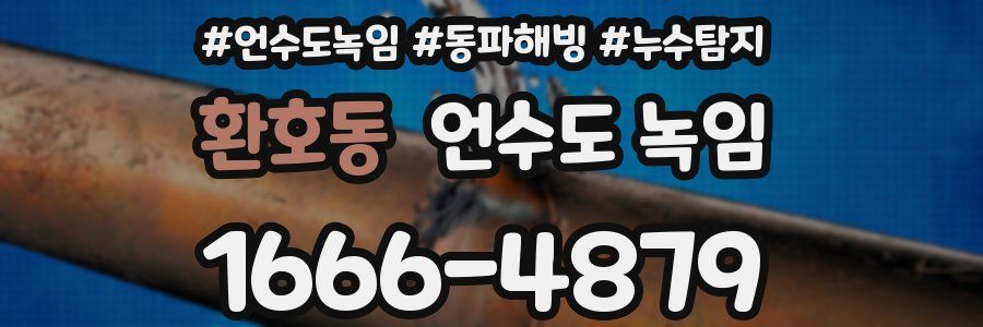 환호동 언수도 녹임