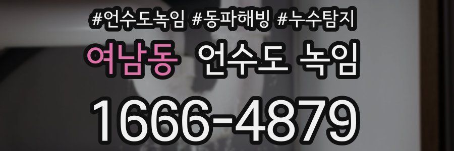 여남동 언수도 녹임