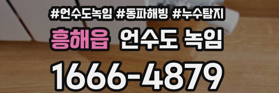 흥해읍 언수도 녹임