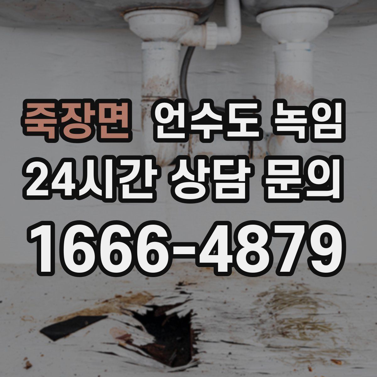 죽장면 언수도 녹임