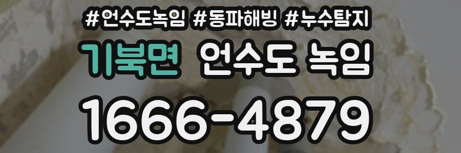 기북면 언수도 녹임