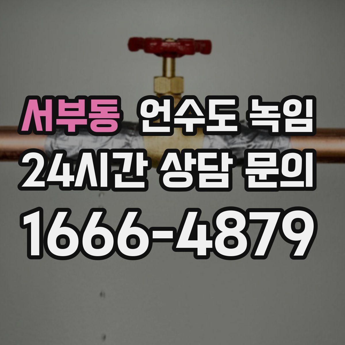 서부동 언수도 녹임