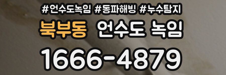 북부동 언수도 녹임