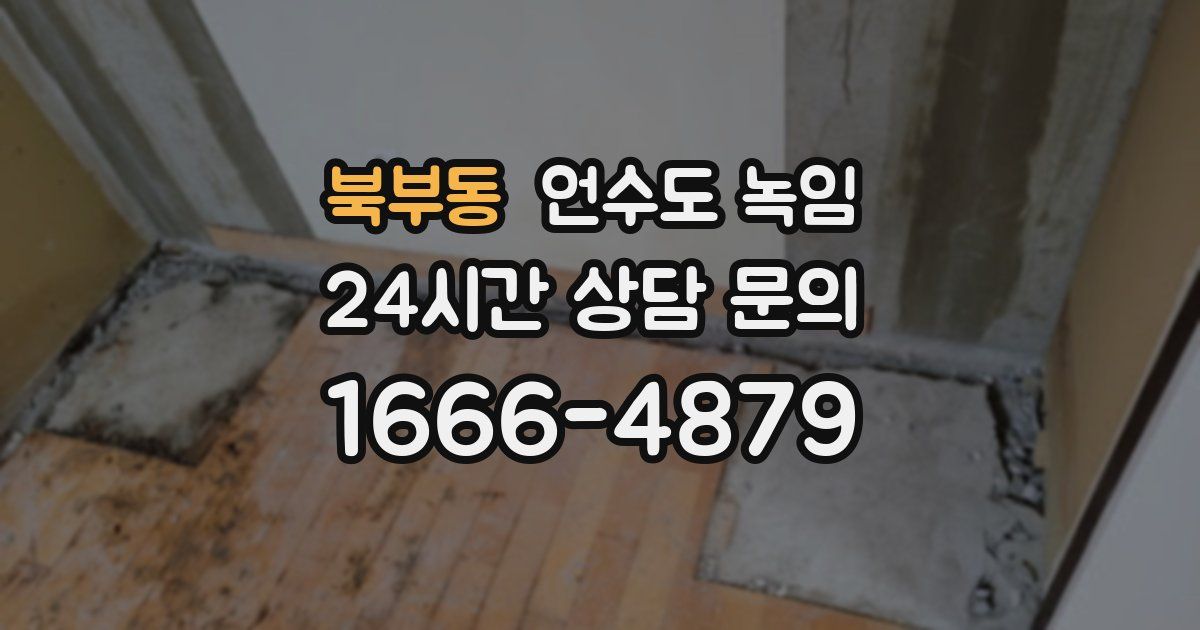 북부동 언수도 녹임