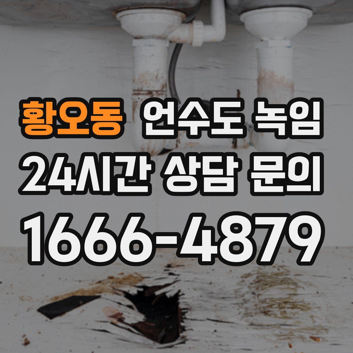 황오동 언수도 녹임