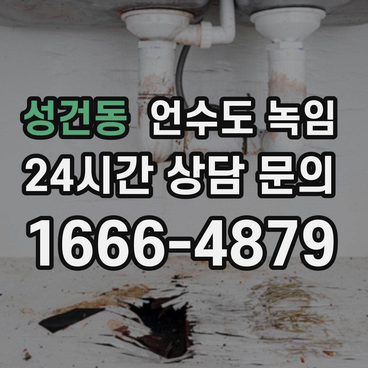 성건동 언수도 녹임