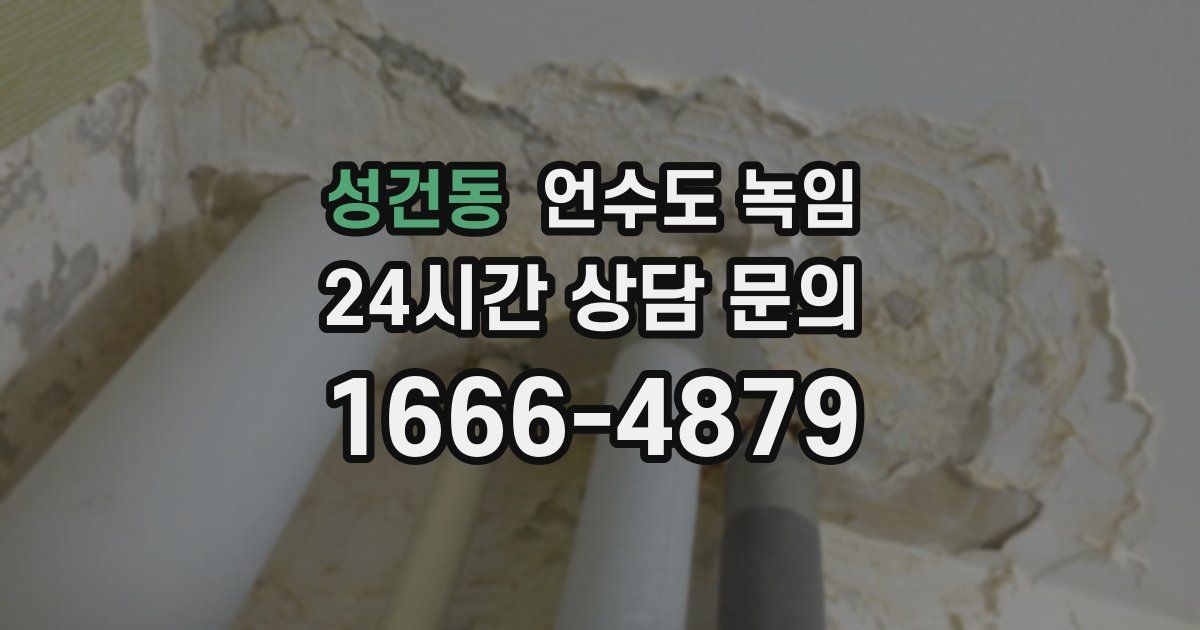 성건동 언수도 녹임