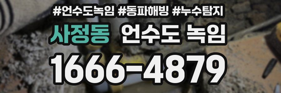 사정동 언수도 녹임