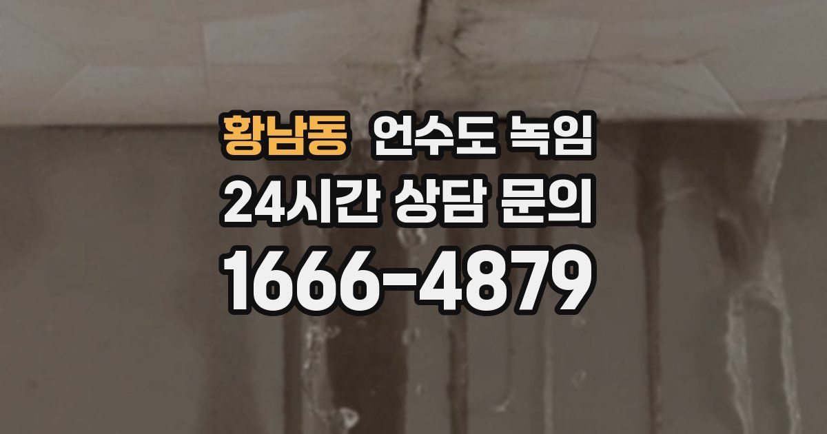 황남동 언수도 녹임