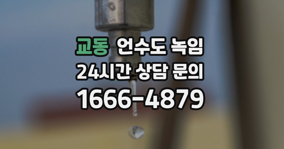 교동 언수도 녹임