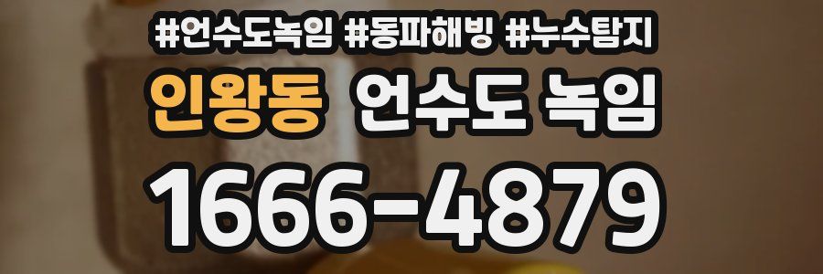 인왕동 언수도 녹임