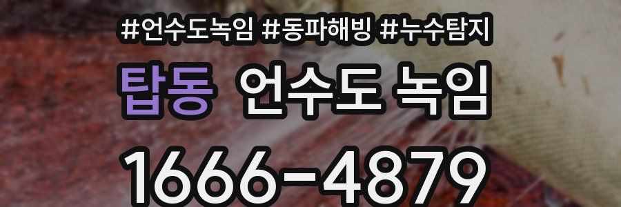 탑동 언수도 녹임