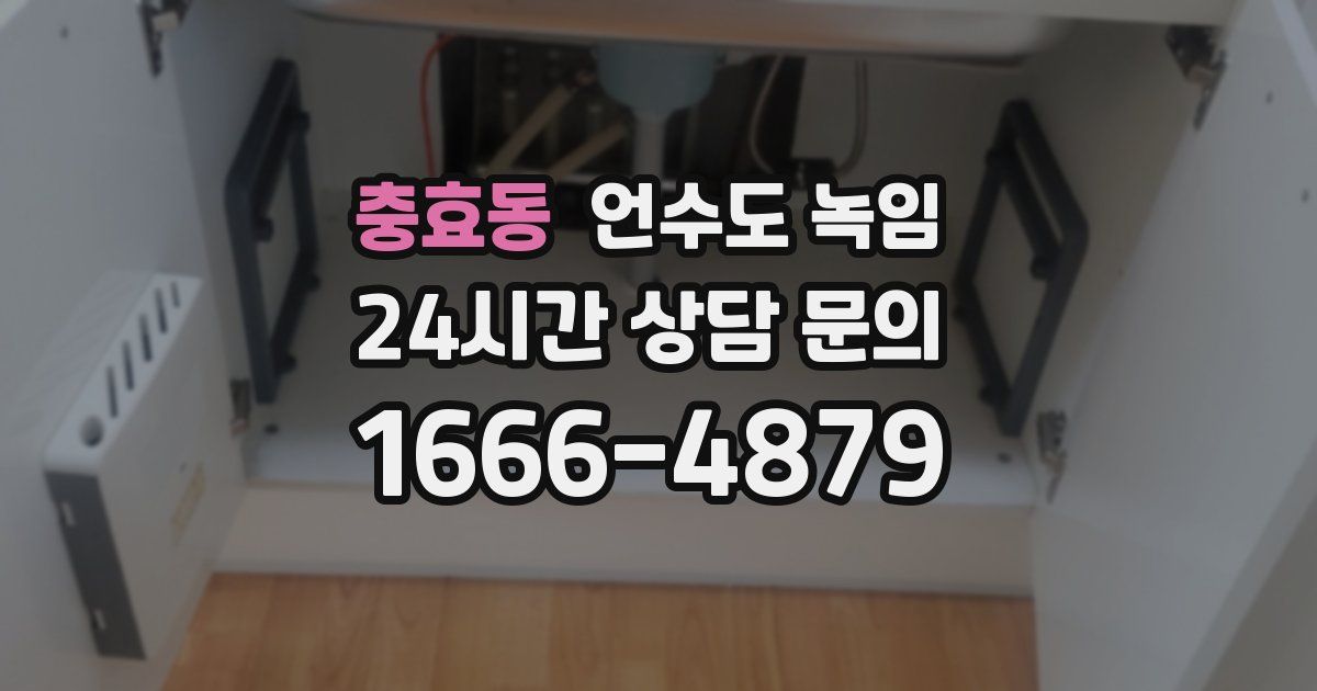 충효동 언수도 녹임