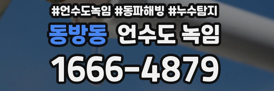 동방동 언수도 녹임