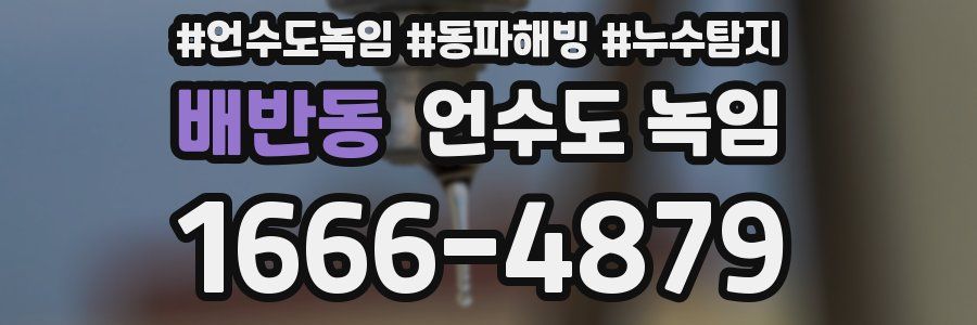 배반동 언수도 녹임