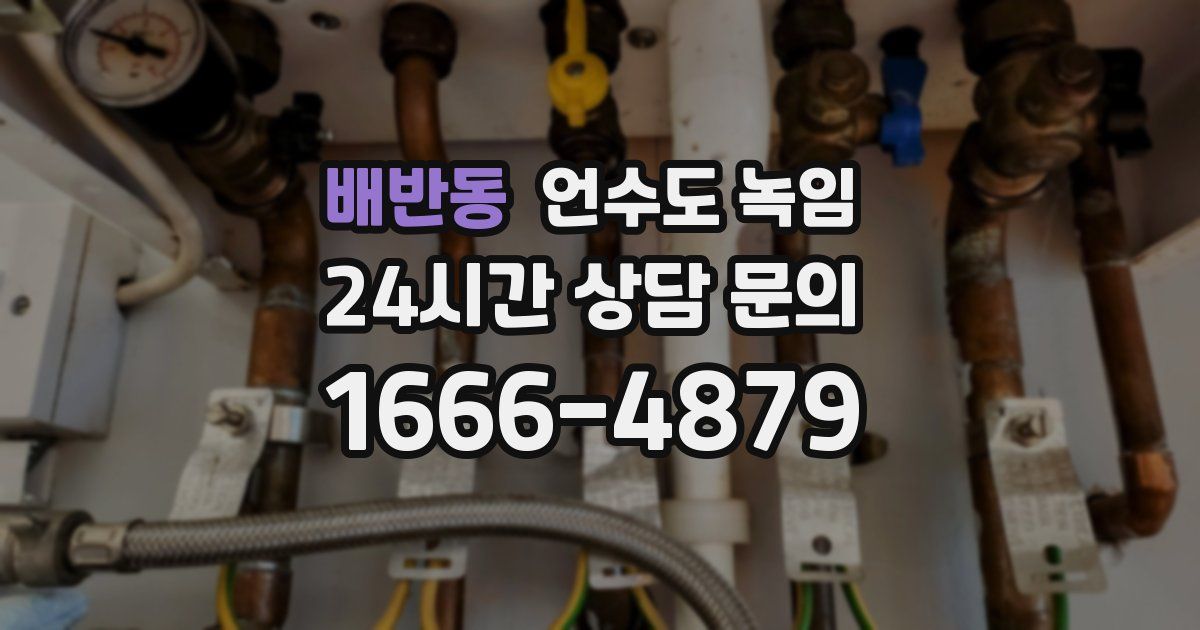 배반동 언수도 녹임