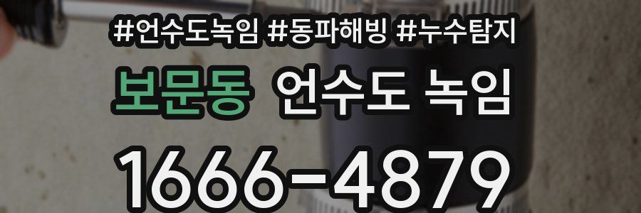 보문동 언수도 녹임