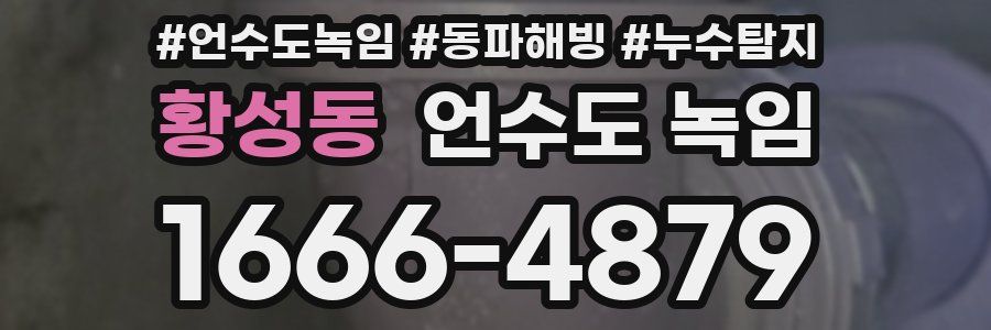 황성동 언수도 녹임