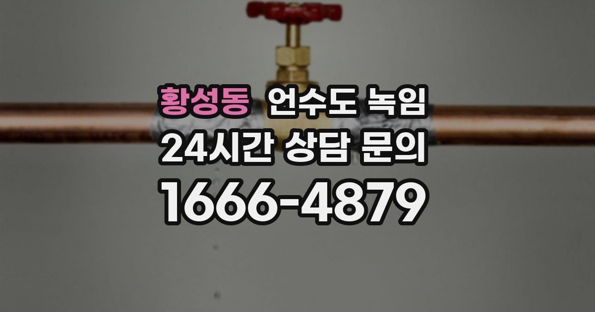 황성동 언수도 녹임