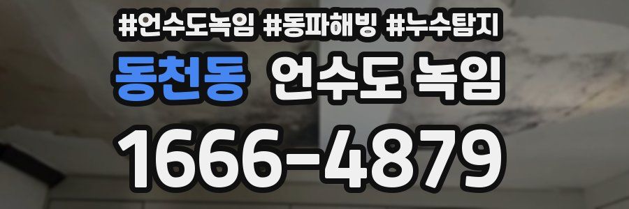 동천동 언수도 녹임