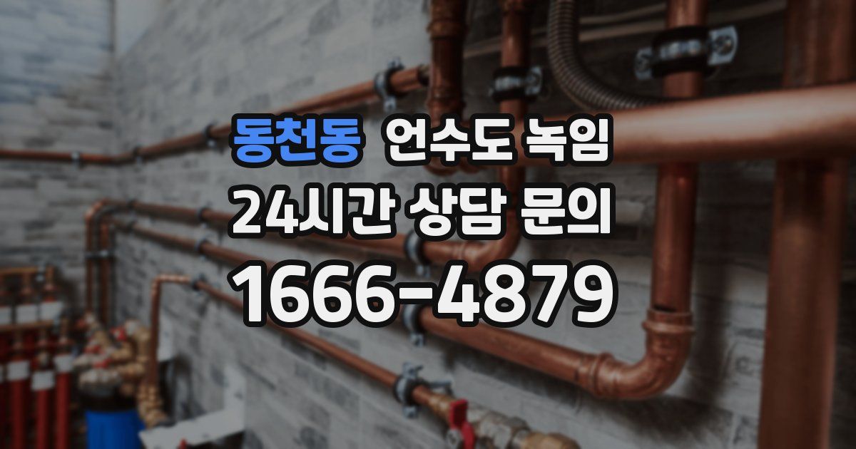 동천동 언수도 녹임