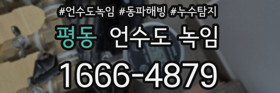 평동 언수도 녹임