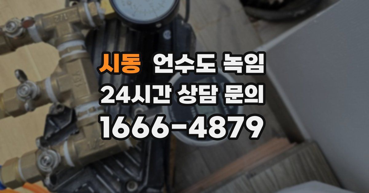 시동 언수도 녹임
