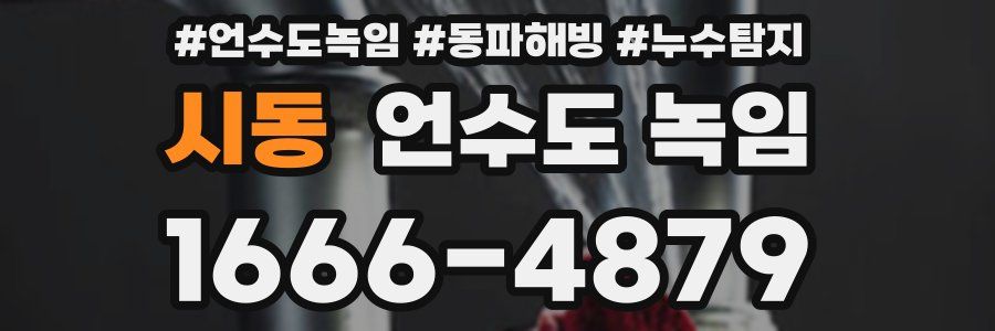 시동 언수도 녹임