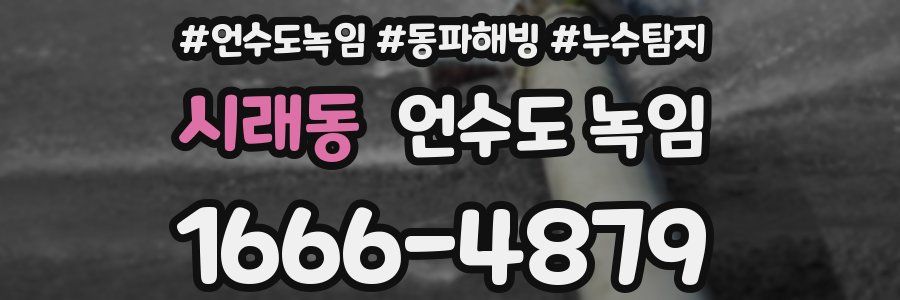 시래동 언수도 녹임