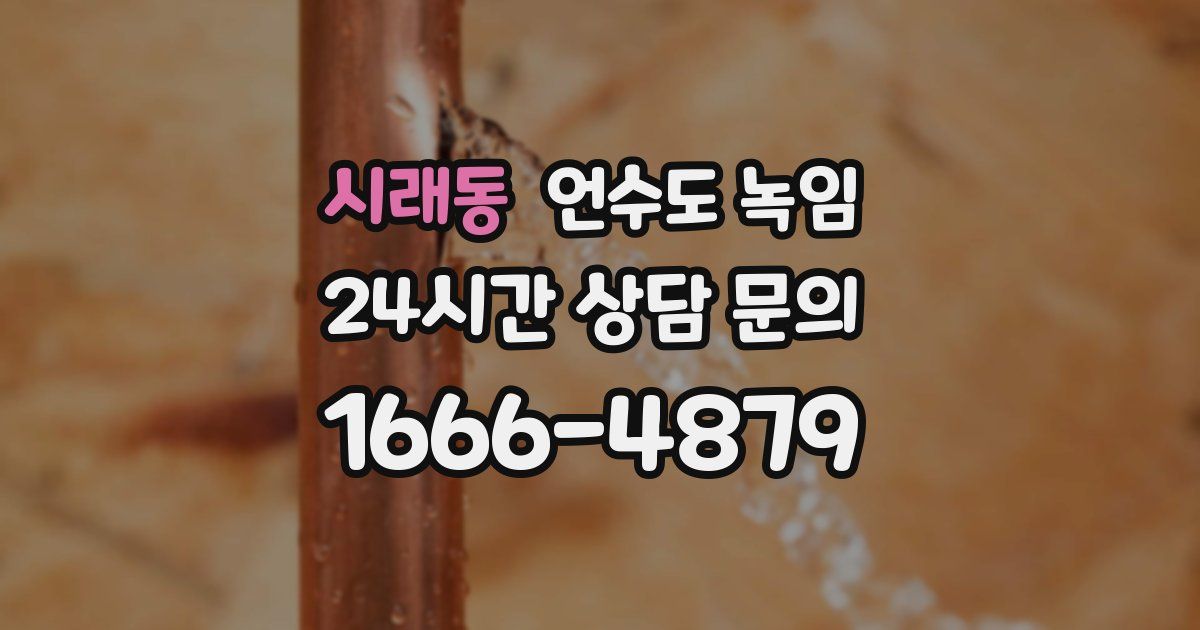 시래동 언수도 녹임