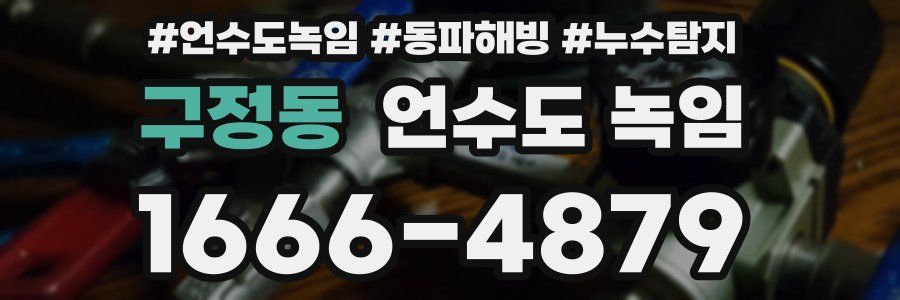 구정동 언수도 녹임