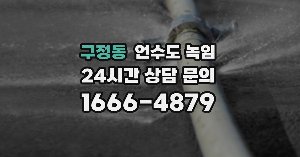 구정동 언수도 녹임