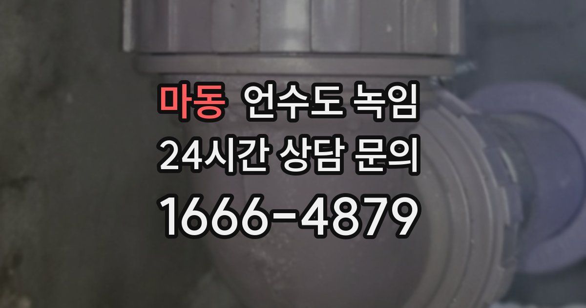 마동 언수도 녹임