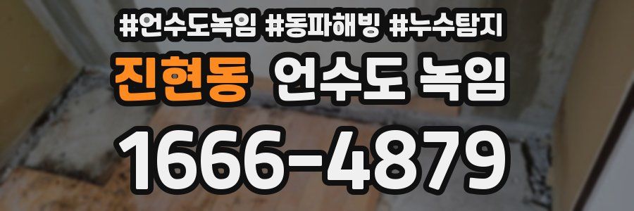 진현동 언수도 녹임